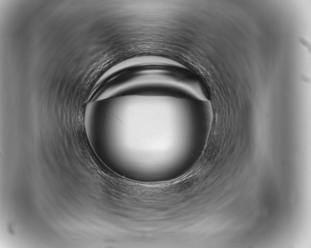 X0000099480048200805091618