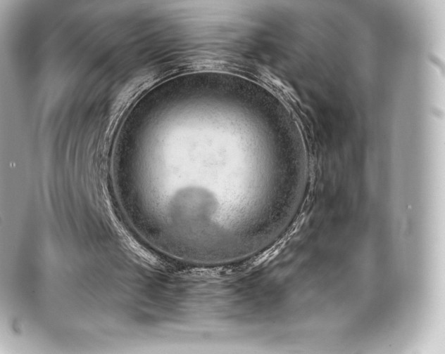 X0000099480049200805091617