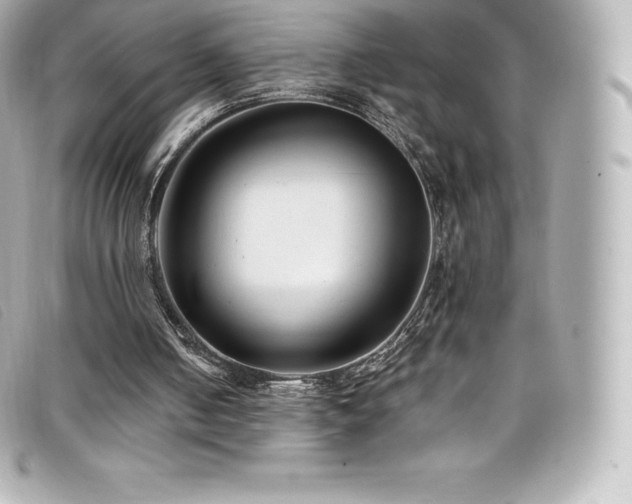 X0000099480050200805091617