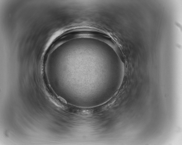 X0000099480056200805091617