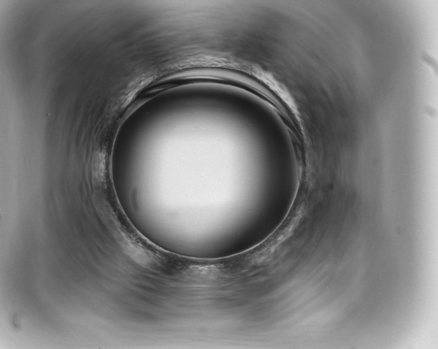 X0000099480057200805091617