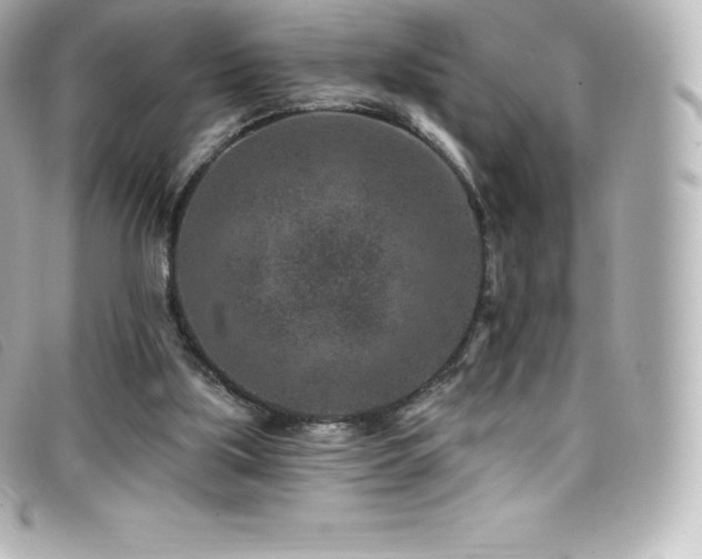X0000099480059200805091617