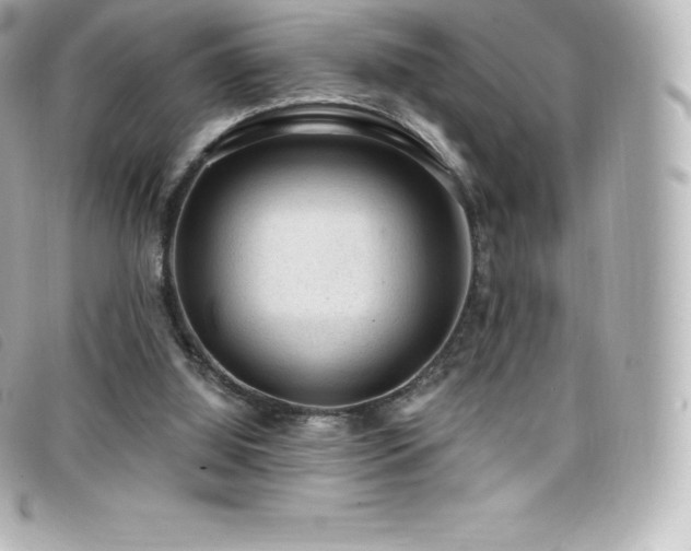 X0000099480060200805091617