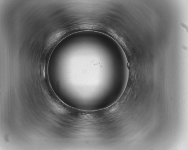 X0000099480062200805091617