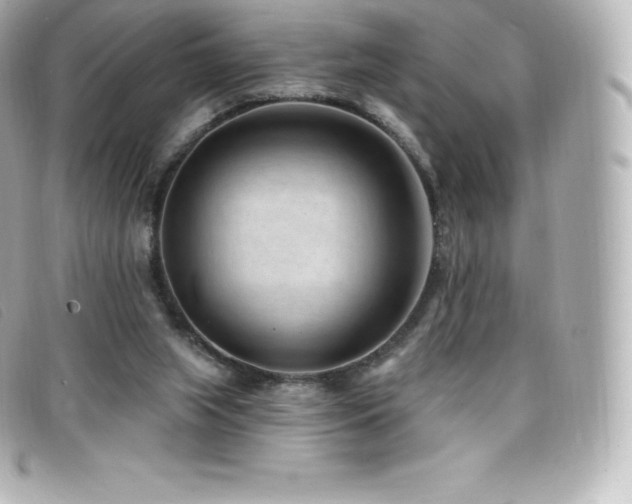 X0000099480063200805091617