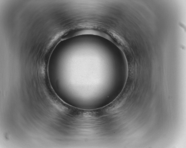 X0000099480064200805091617