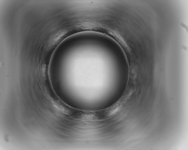 X0000099480066200805091617