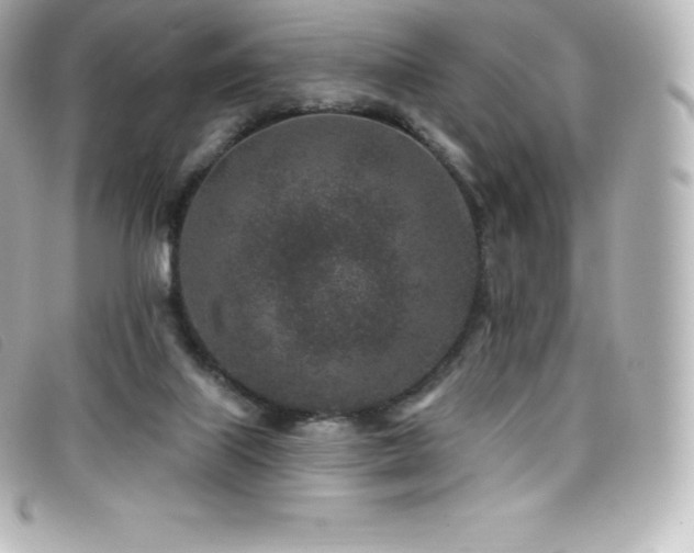 X0000099480067200805091617