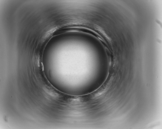 X0000099480068200805091617
