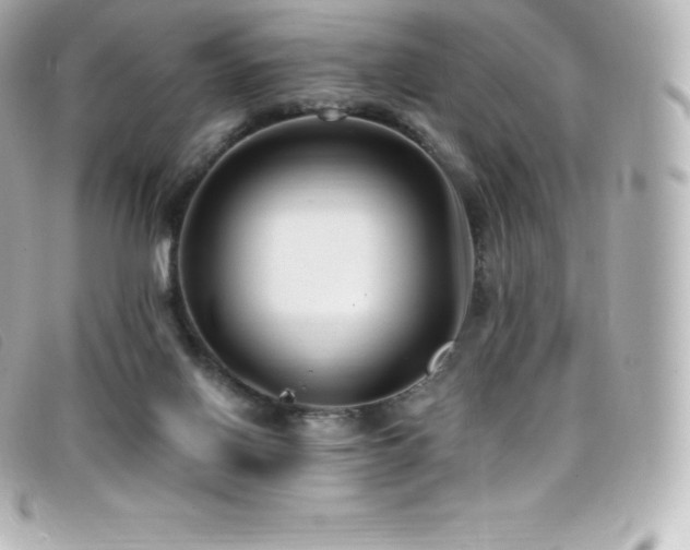X0000099480070200805091617