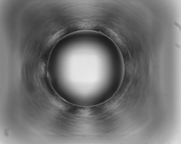 X0000099480071200805091617