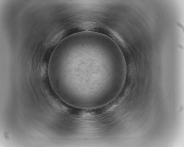 X0000099480073200805091617