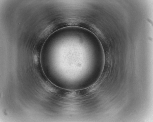X0000099480074200805091617