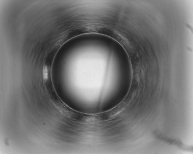 X0000099480075200805091617