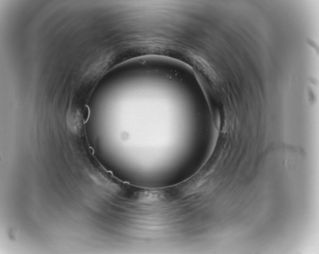 X0000099480077200805091617