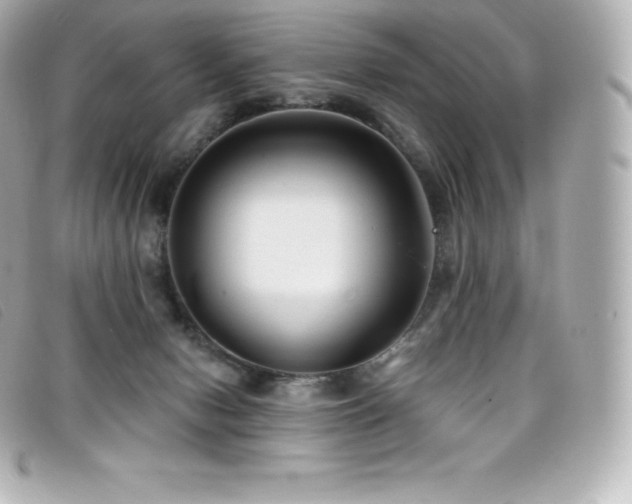 X0000099480078200805091617