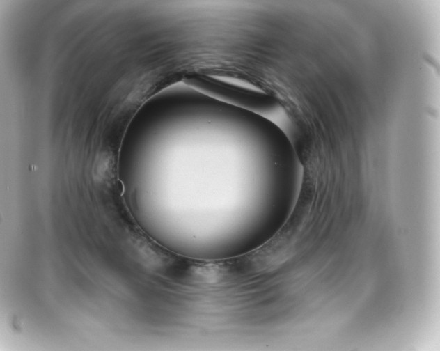X0000099480079200805091617