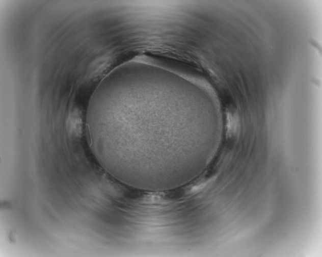 X0000099480080200805091617