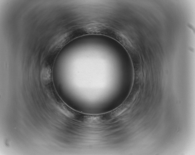 X0000099480081200805091617