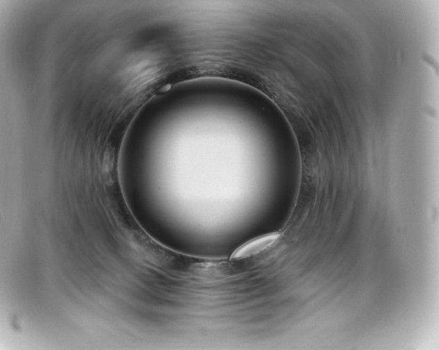 X0000099480082200805091618