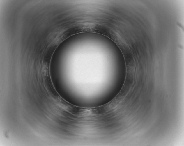 X0000099480083200805091618
