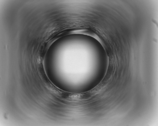 X0000099480084200805091618