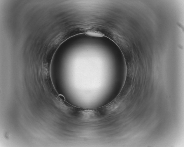 X0000099480085200805091618