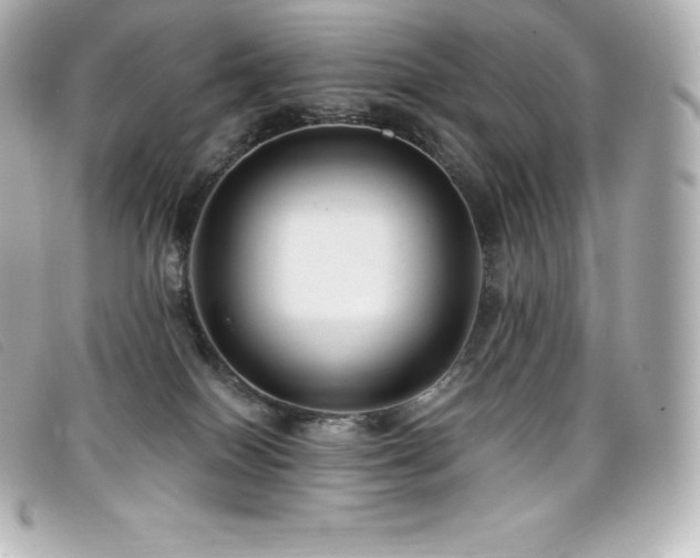 X0000099480086200805091618
