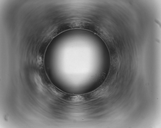 X0000099480087200805091618
