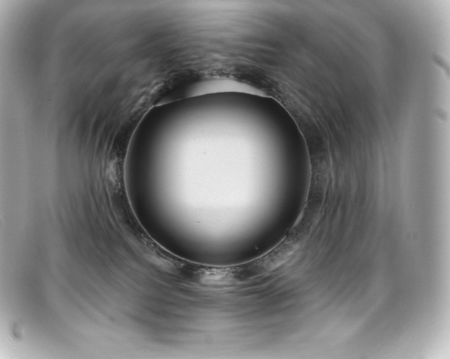 X0000099480088200805091618