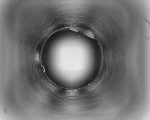 X0000099480089200805091618