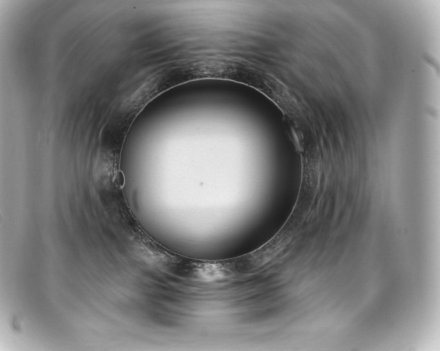 X0000099480091200805091618