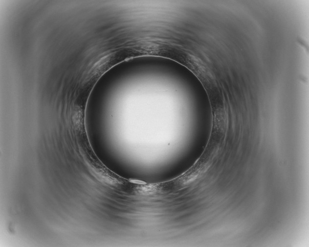 X0000099480092200805091618
