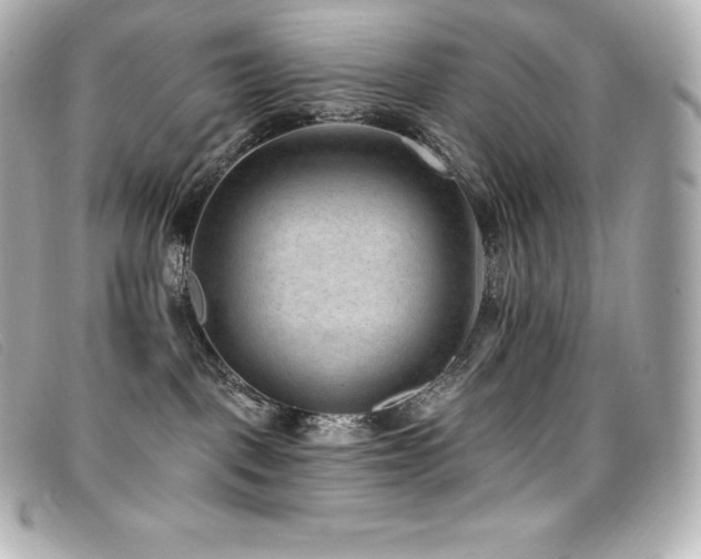 X0000099480093200805091618