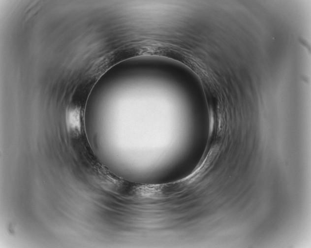 X0000099480094200805091618