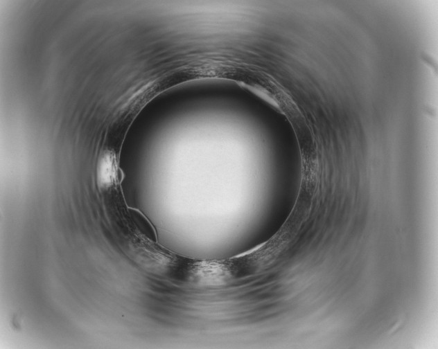 X0000099480095200805091618