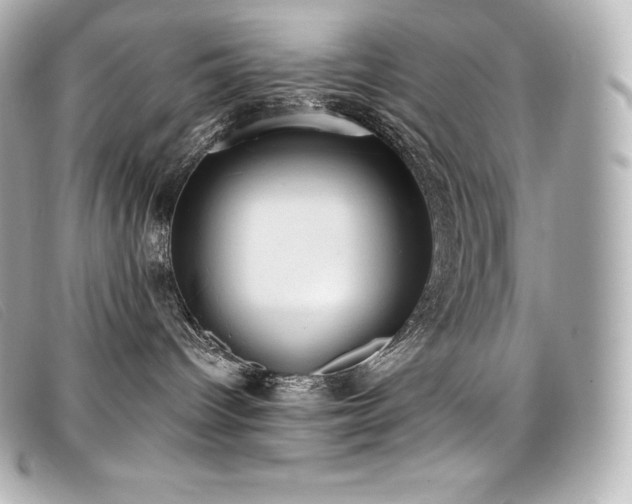 X0000099480096200805091618