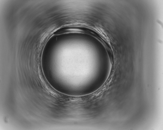 X0000099480097200805091617