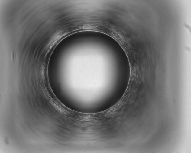 X0000099480098200805091617