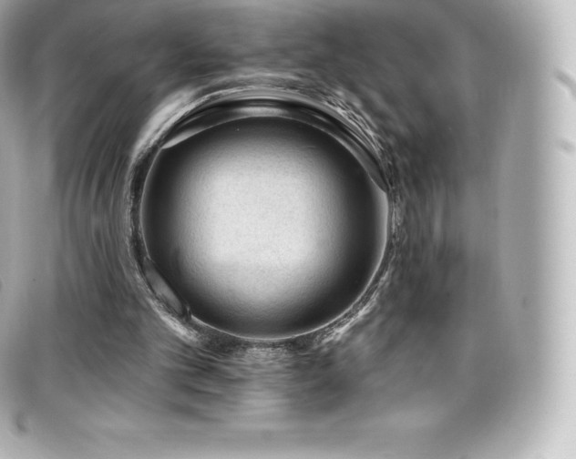 X0000099480101200805091617