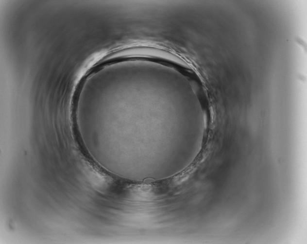 X0000099480104200805091617