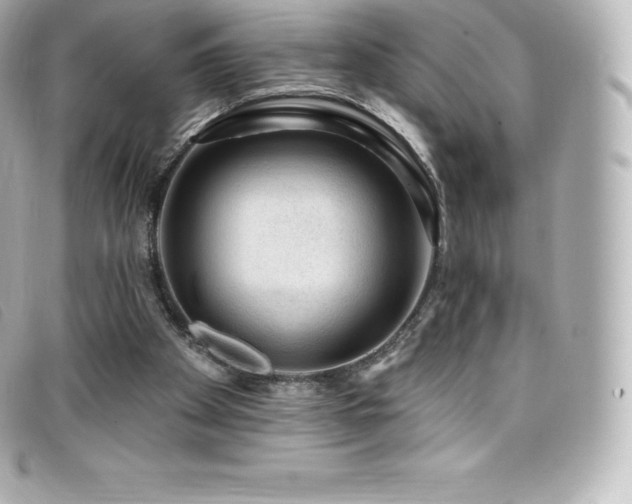 X0000099480105200805091617