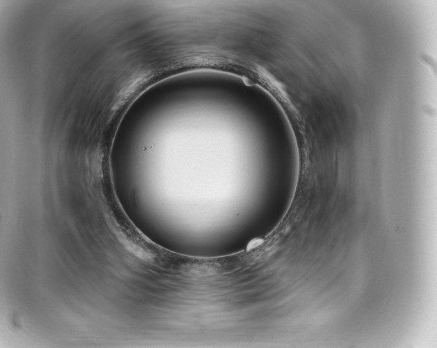 X0000099480106200805091617