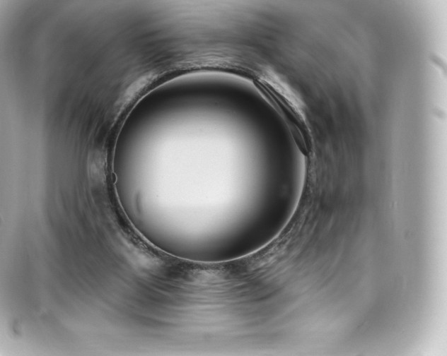 X0000099480107200805091617