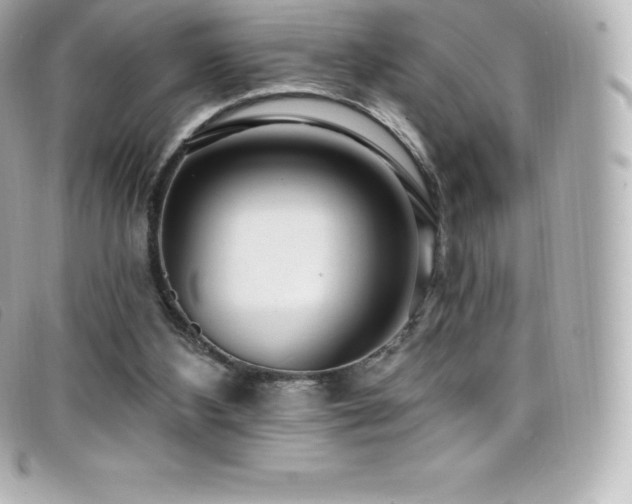 X0000099480108200805091617