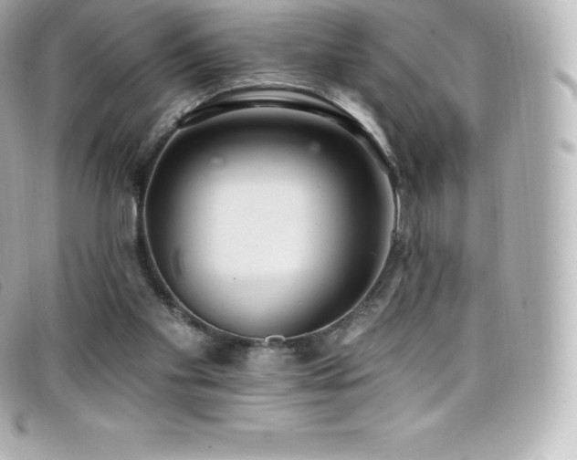 X0000099480109200805091617