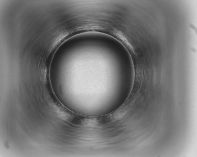X0000099480110200805091617