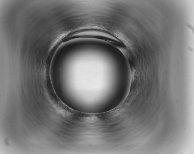 X0000099480112200805091617