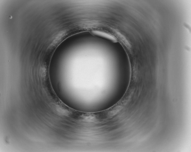 X0000099480113200805091617