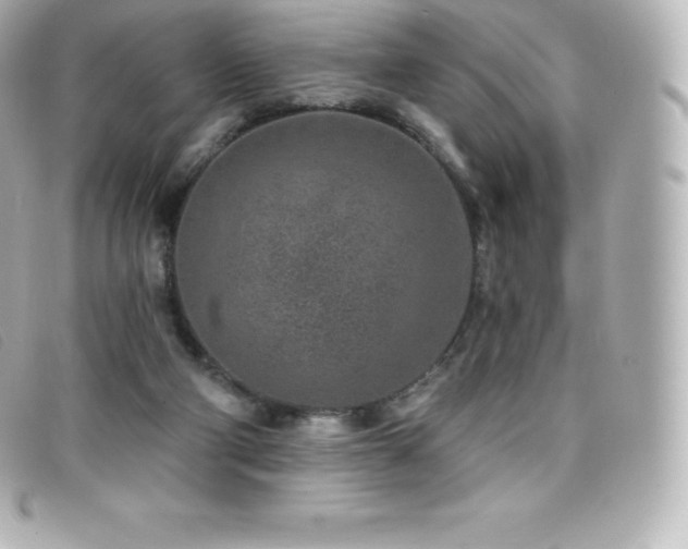 X0000099480114200805091617